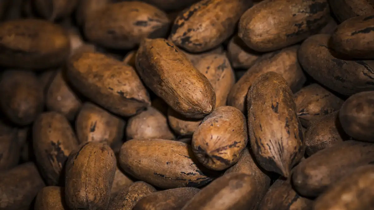 Le chocolat et le développement durable : des enjeux clés pour l'avenir