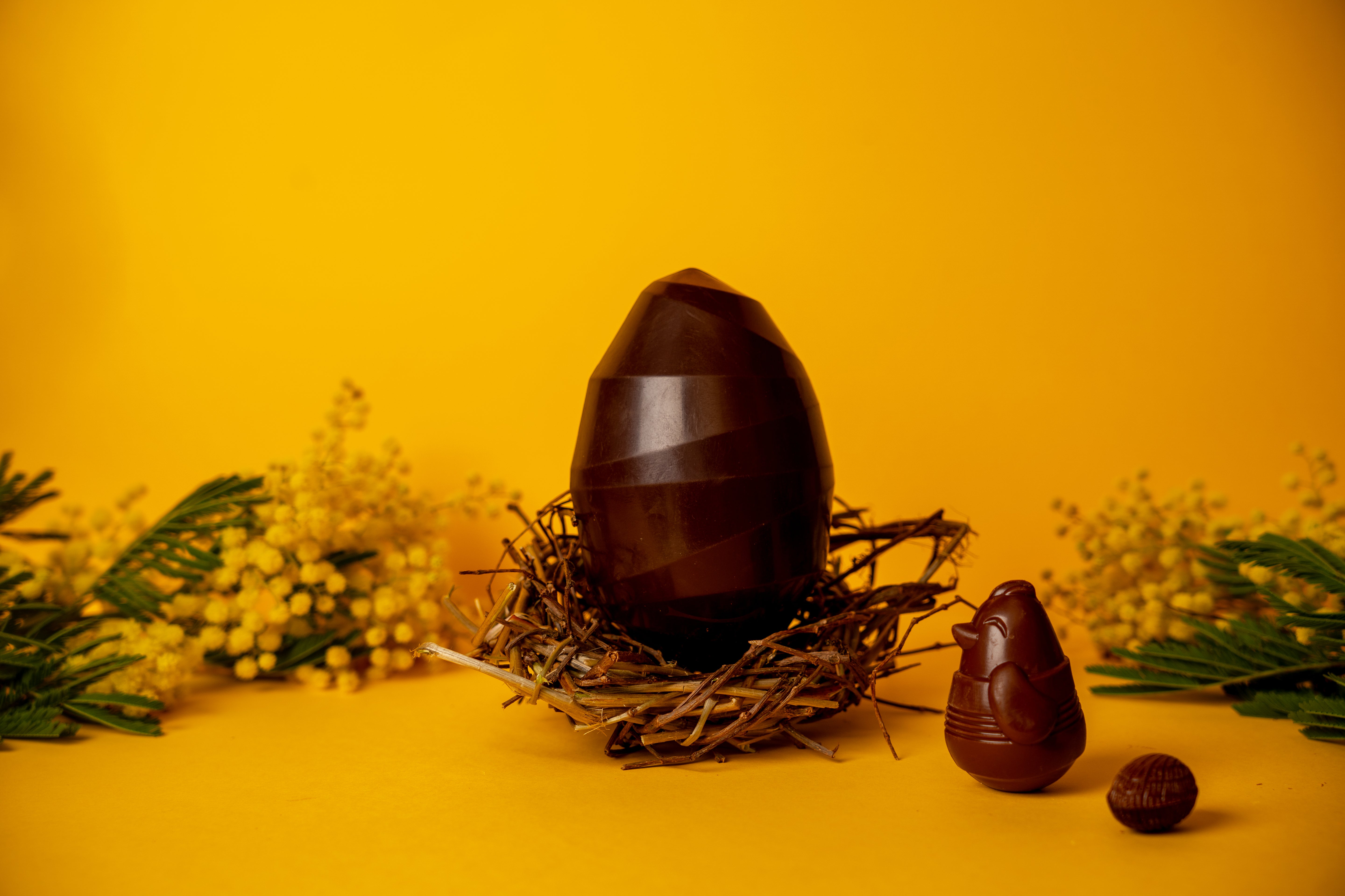 Œuf Surprise - Chocolat noir ou lait bio, équitable