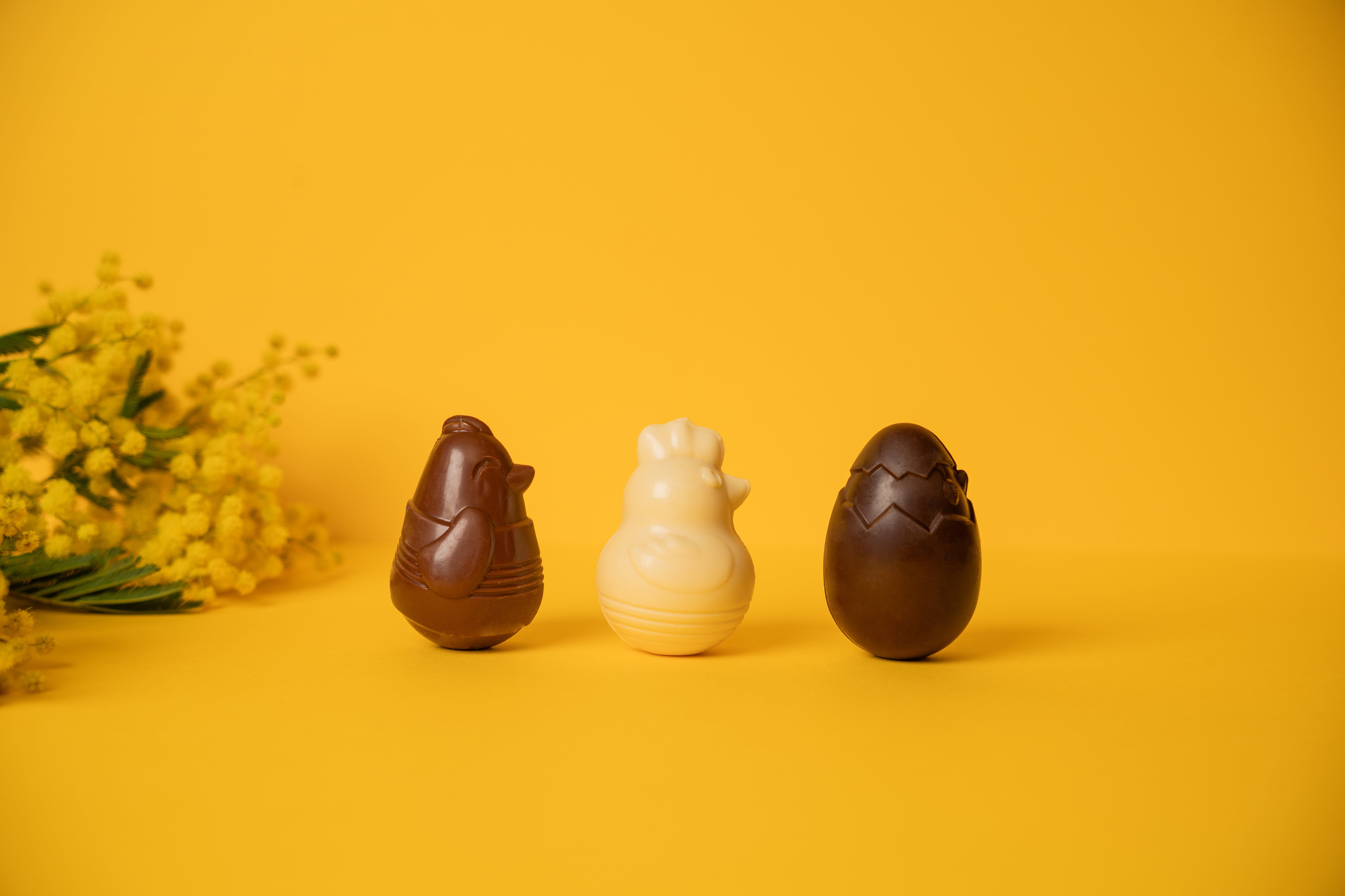 Poussins de Pâques - 3 Chocolats bio