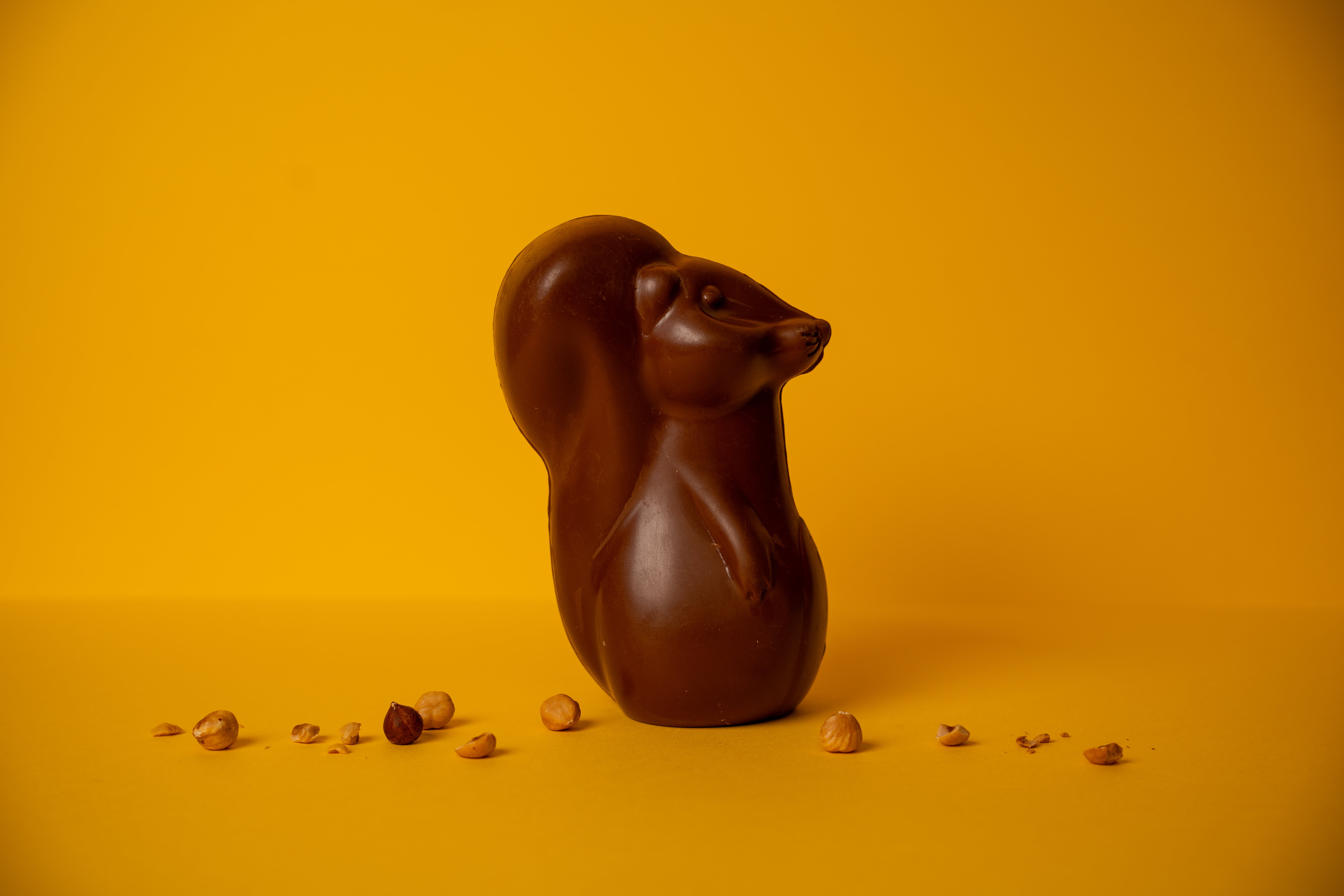 Moulage Ecureuil - Chocolat noir ou lait bio et équitable