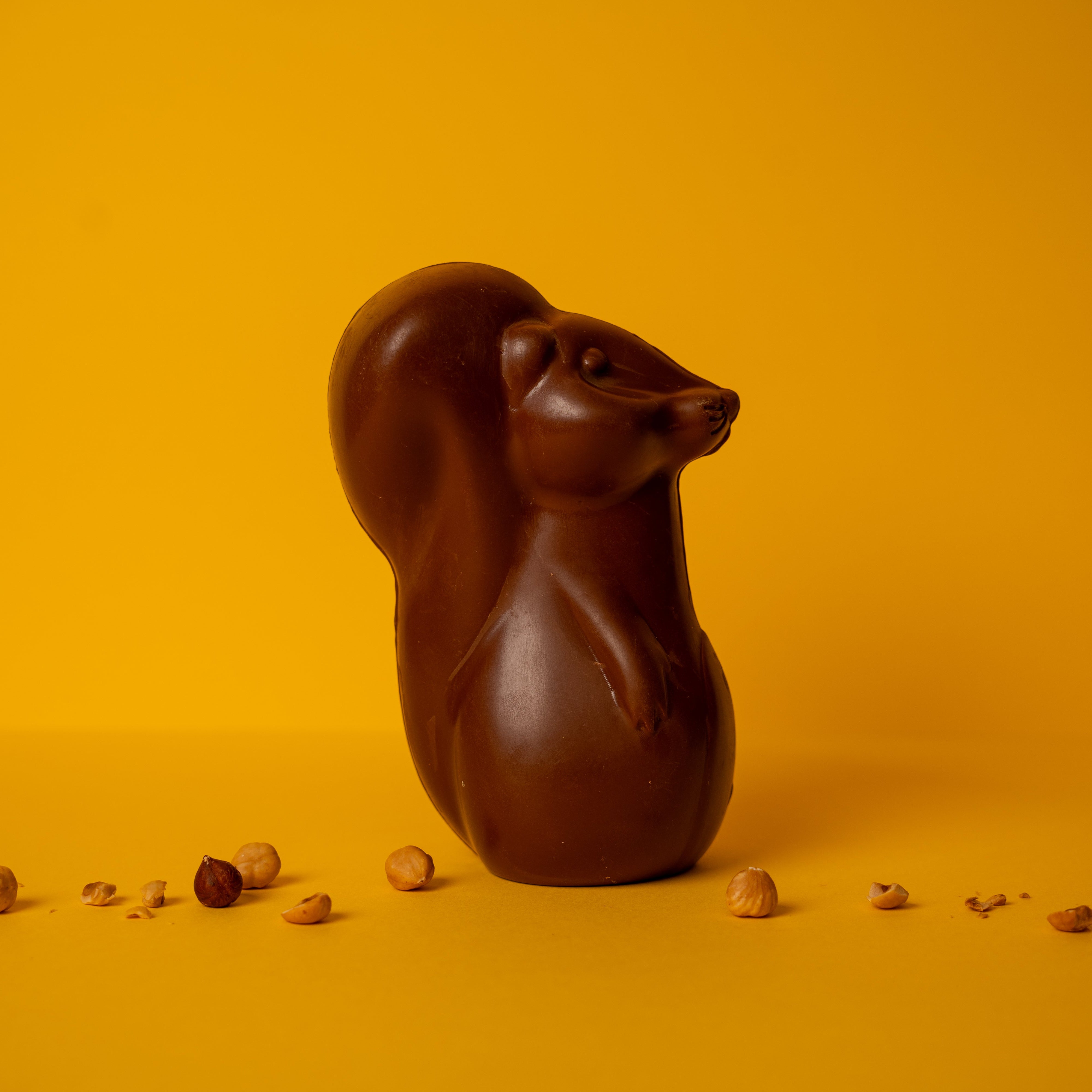 Moulage Ecureuil - Chocolat noir ou lait bio et équitable