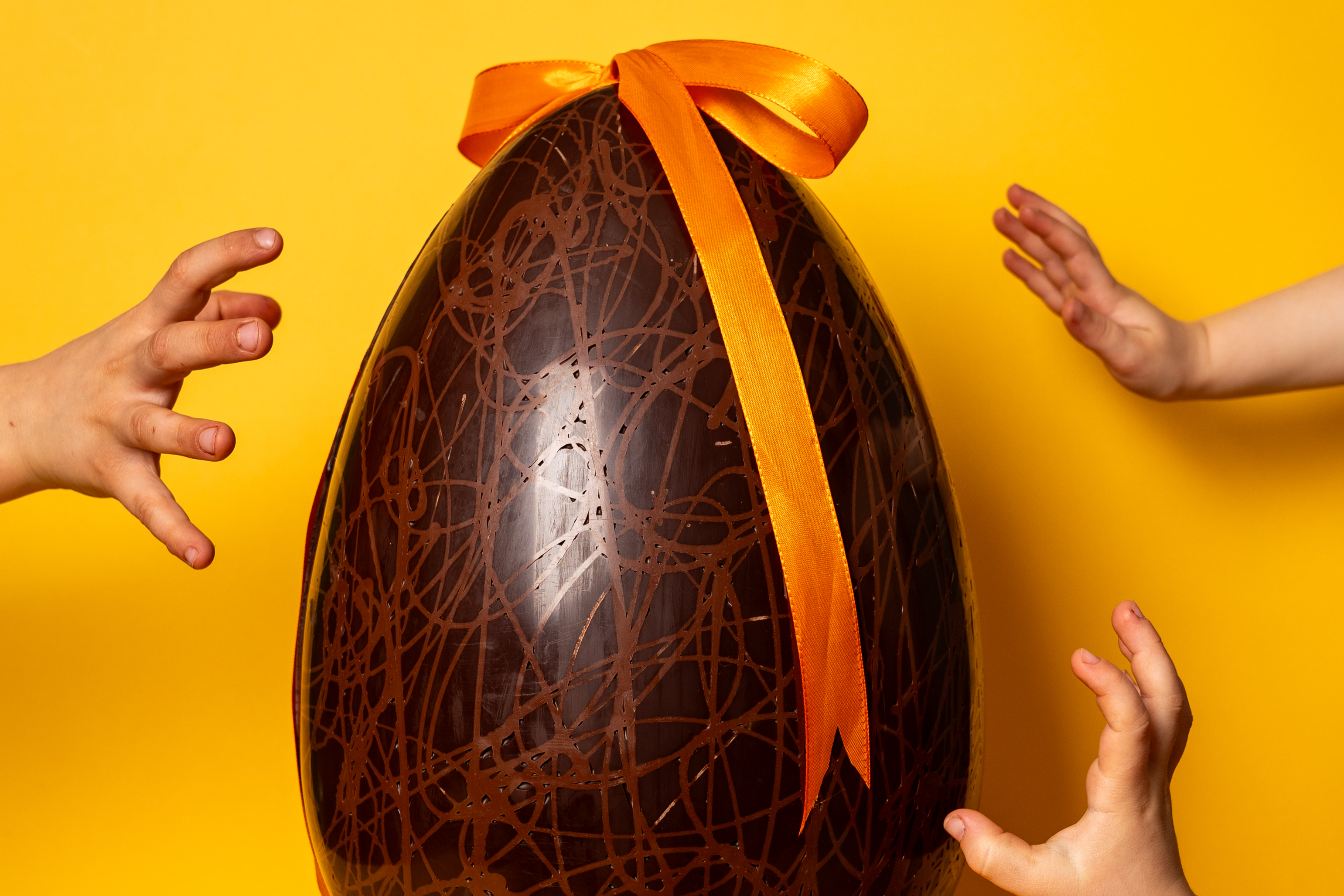Œuf Géant - 1.2 kg de chocolat bio noir ou lait