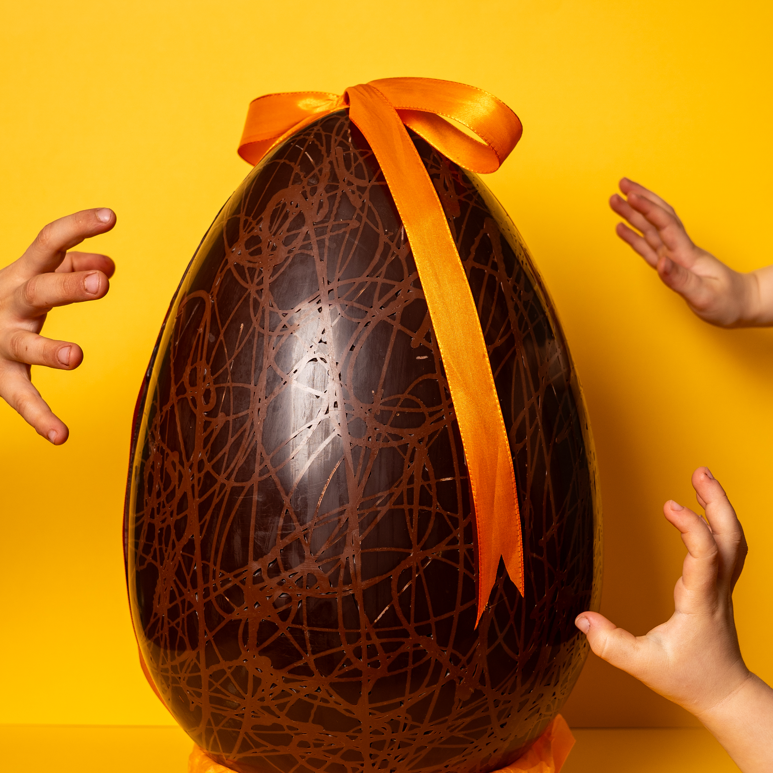Œuf Géant - 1.2 kg de chocolat bio lait