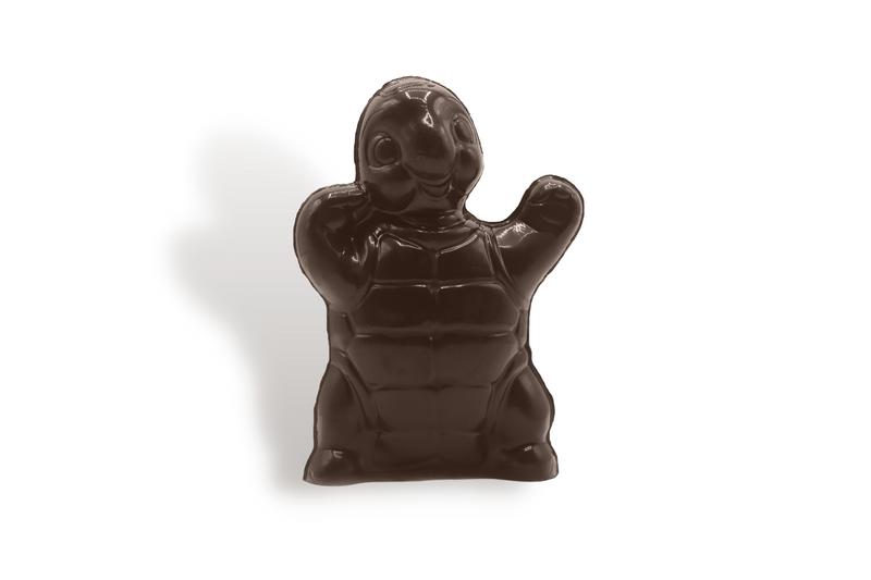 Moulage Tortue - Chocolat Noir